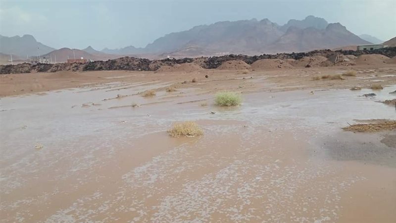 حالة الطقس اليوم،