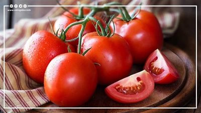 أخبار الاقتصاد اليوم.. انخفاض سعر القمح وارتفاع الطماطم.. والبورصة توافق على الشطب النهائي لأسهم شركة العز الدخيلة للصلب