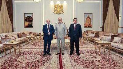لسحب البساط من تحت أقدام المبعوث الأممي، تفاصيل لقاء رئيسي المجلس الرئاسي والنواب الليبي