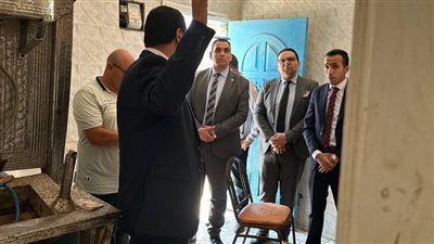 النيابة الإدارية تستمع لأقوال رئيس مدينة بلطيم في مصرع طفلة صعقا بالكهرباء