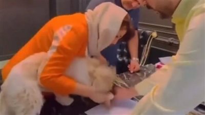 بيع شقة بعقد مسجل لكلب يثير الجدل فى إيران والشرطة تتحرك (فيديو) 