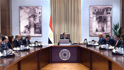 قرار عاجل لرئيس الوزراء بشأن تشغيل خطوط ملاحية لتصدير البضائع لدول أفريقيا