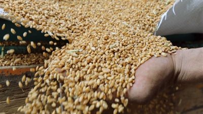 روسيا تسعى لإنهاء عقوبات الأمم المتحدة على مالي