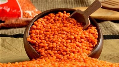 استقرار أسعار العدس مساء اليوم السبت 26-8-2023 في الأسواق