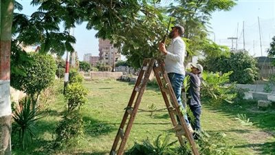 نشاط مكثف لأعمال التجميل ورفع القمامة في الشرقية 