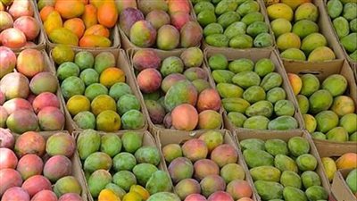 110 جنيهات أعلى سعر للكيلو، ارتفاع أسعار المانجو في الأسواق