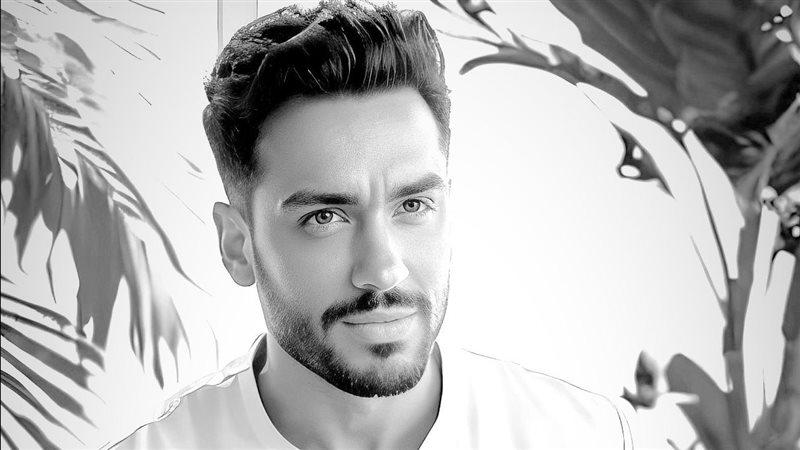 رامي جمال، فيتو