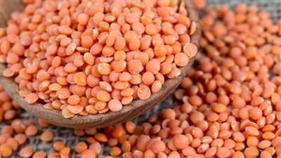 سعر كيلو العدس، أسعار العدس اليوم الخميس 9-11-2023 في الأسواق