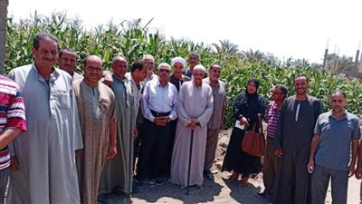 زراعة الشرقية تعلن تنظيم يوم حقلي عن الذرة الشامية