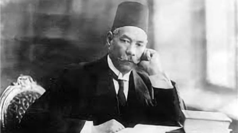 سعد زغلول، فيتو