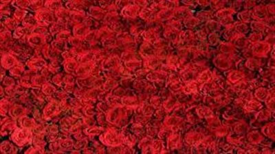 تفسير حلم اللون الأحمر فى المنام وعلاقته بالفرح والسرور وربح الأموال