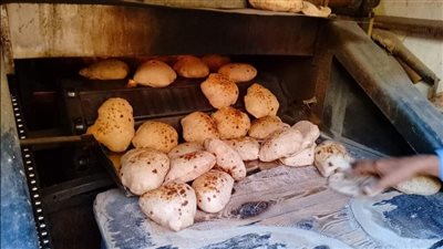 تحرير 52 محضر مخالفات ضد أصحاب مخابز بلدية لتلاعبهم في مواصفات الخبز بالغربية