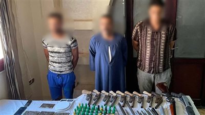 حبس عصابة البحيرة لتجارة المخدرات والأسلحة النارية