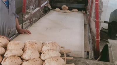 لـ 35%.. شعبة المخابز تطالب التموين بزيادة تكلفة دعم رغيف الخبز