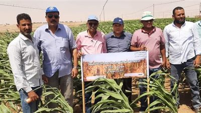 الحملة القومية للنهوض بمحاصيل الذرة الشامية والرفيعة في جولة بباريس الوادي الجديد