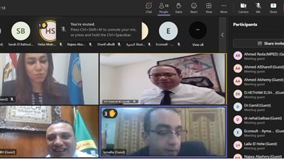 التخطيط تعقد ورشة عمل لمناقشة خطوات تنفيذ مبادرة القرية الخضراء