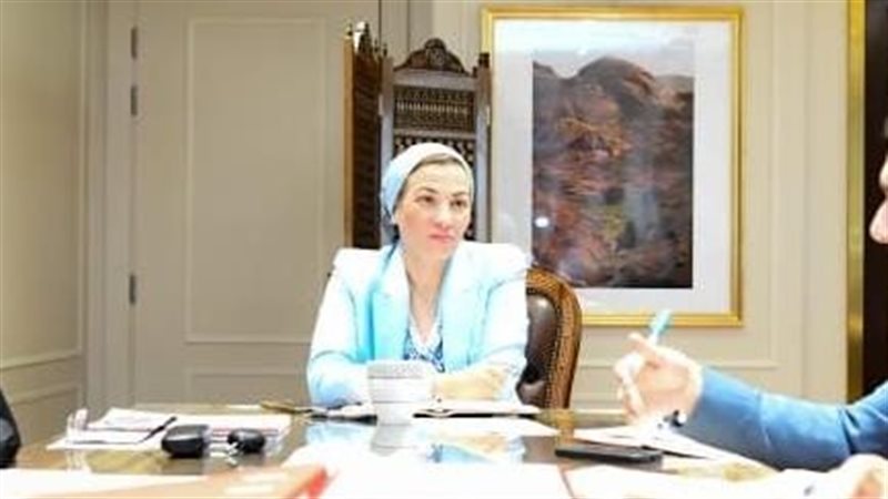 الدكتورة ياسمين فؤاد