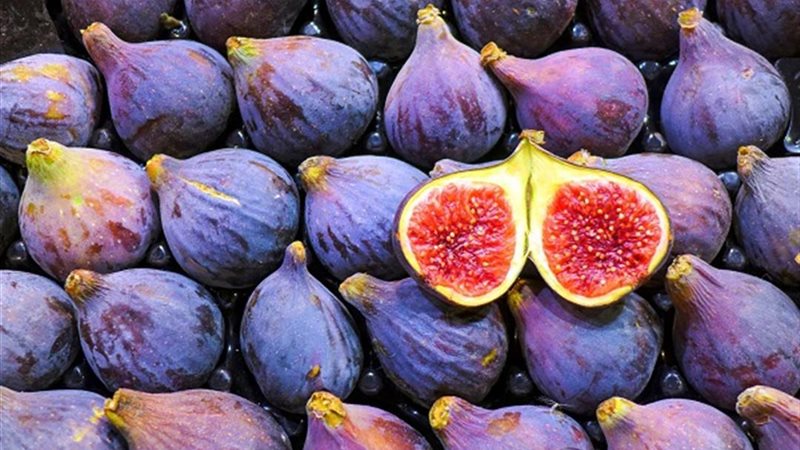 أسعار التين برشومي،