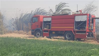  بسبب انفجار محول كهرباء، إصابة شخصين ونفوق مواشٍ في حريق بالوادي الجديد (صور)