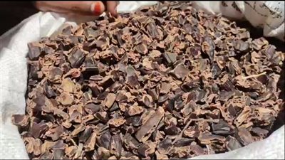 الدوم والتمر الأسواني، أسعار مشروبات الصيف المنعشة (فيديو)