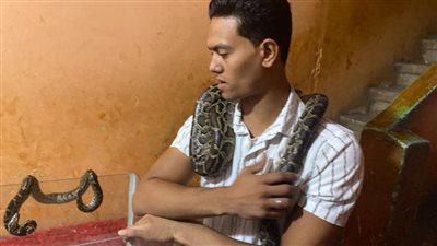 في مشهد خارج عن المألوف، محمد أناكوندا يعشق العيش وسط الثعابين في المنيا (فيديو وصور) 