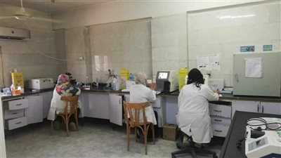 صحة المنيا: إجراء 58 ألفا و751 تحليلا بمعامل المستشفيات خلال يوليو الماضي