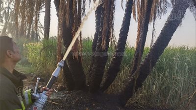 محافظ أسوان يتابع جهود السيطرة على حريق بقرية القنان بإدفو لمدة 5 ساعات (صور)