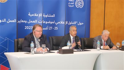 شركاء وزارة العمل الدوليون يشيدون بالتنمية الشاملة في سيناء