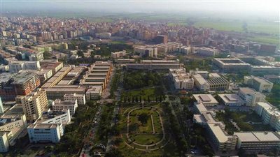 جامعة المنصورة تناقش دور الطب البيطري في مواجهة الأزمات العالمية وتغير المناخ