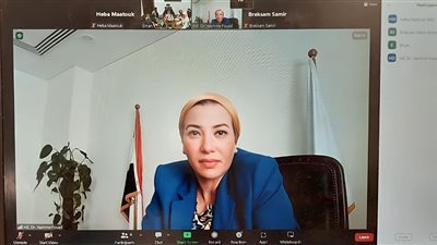 وزيرة البيئة: إنتاج الجيلاتين الدوائي من مخلفات المجازر