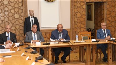 وزير الخارجية يلتقي السفراء المنقولين للعمل رؤساء لبعثات مصر في الخارج (صور)