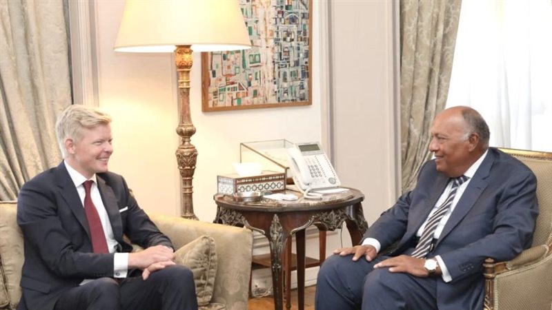 سامح شكرى وزير الخارجية