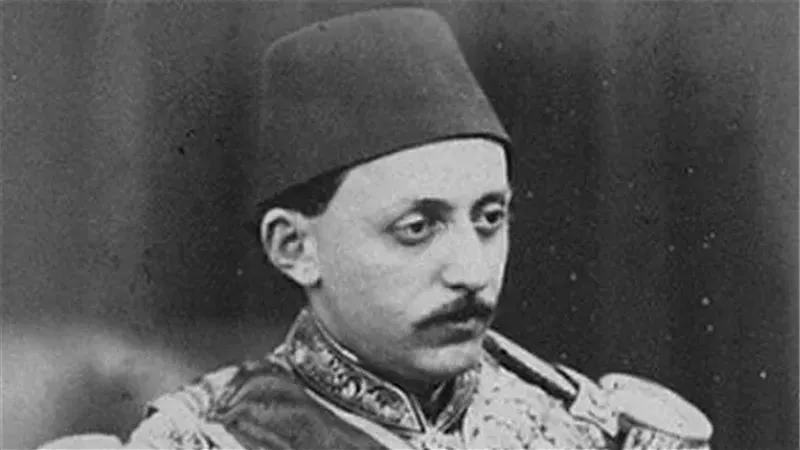 مراد الخامس، فيتو