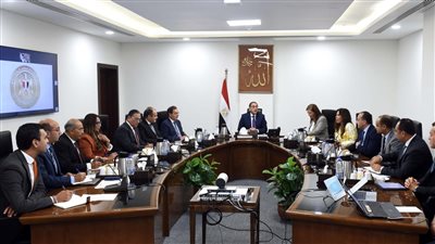 رئيس الوزراء يستعرض مقترحا بإنشاء مصنعين للأسمدة الفوسفاتية والسيليكون المعدني 