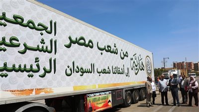 قافلة عذائية لدعم الوافدين من دولة السودان فى أسوان (صور)