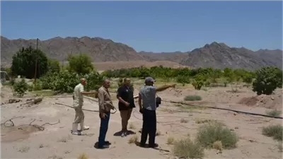 مركز بحوث الصحراء: مشروعات مستقبل مصر تستهدف سد الفجوة الغذائية (فيديو) 