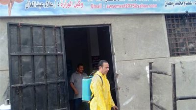 رش 1500 رأس حيوان ضد الطفيليات بأوسيم