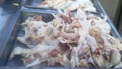 ضبط 12 طن هياكل ومفروم دواجن بمنشأة القناطر