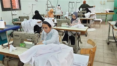 رئيس جامعة حلوان: حاضنة المشروعات الصغيرة وحدة إنتاجية تحقق الاكتفاء الذاتي للجامعة
