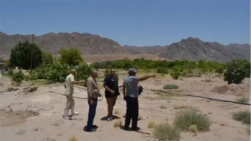 بحوث زراعية، فيتو