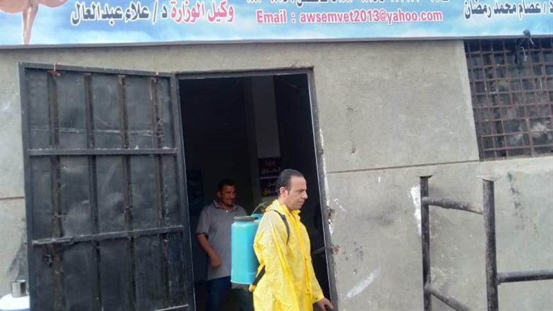 رش الحيوانات من الطفيليات