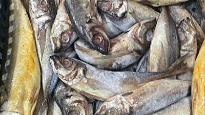 ضبط ربع طن أسماك فاسدة خلال حملة في الإسماعيلية 