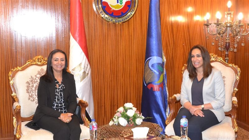 المجلس القومي للمرأة،فيتو