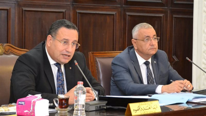 رئيس جامعة الإسكندرية،فيتو