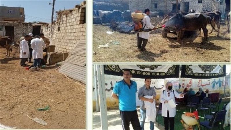 بيطرى الشرقية:قافلة
