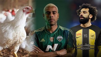 أخبار مصر: سر تراجع أسعار الفراخ، موعد إتمام صفقة سوزا، عسكريو النيجر يطردون القوات الفرنسية، موقف محمد صلاح من اتحاد جدة