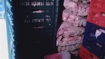 التحفظ على طن لحوم ودواجن مجهولة المصدر بالقليوبية 