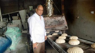 ضبط 1710 علب سجائر وتحرير 30 محضرًا تموينيا بالبحيرة (صور)