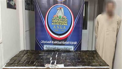 حبس 15 متهما بتهمة حيازة والاتجار بالمواد المخدرة والأسلحة النارية في أسوان ودمياط