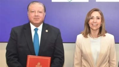 تجديد الثقة في هشام عزمي أمينا للمجلس الأعلى للثقافة